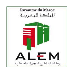 logo-alem