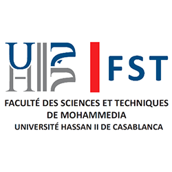 logo-fst